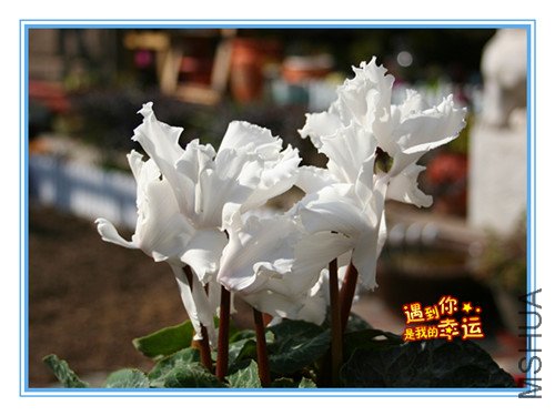 ��Ƭ 057_�����ɿ���.jpg