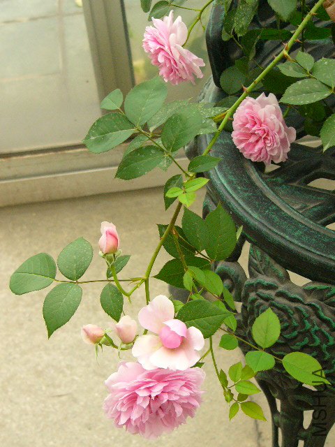 P1060159.JPG