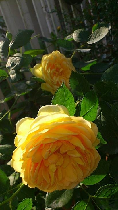 ����ܴ���ش�ͷ�ǿ϶���