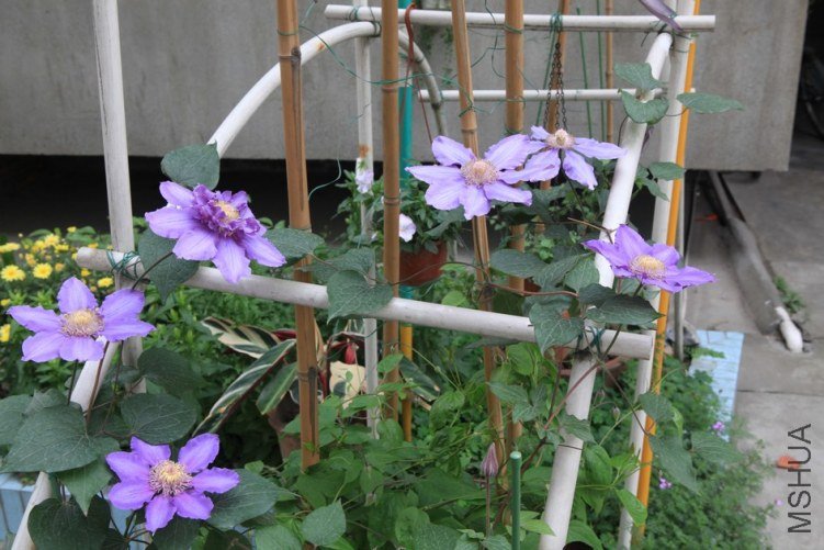 ���ϻ��� 002.jpg