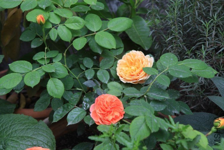 ���ϻ��� 008.jpg