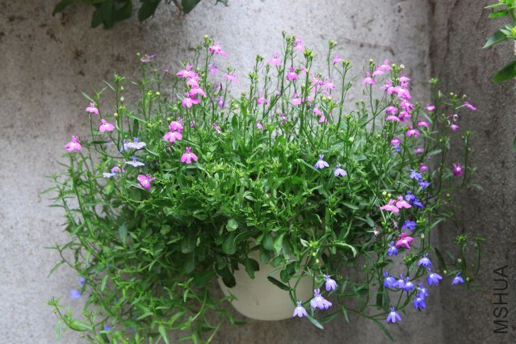 ���ϻ��� 021.jpg