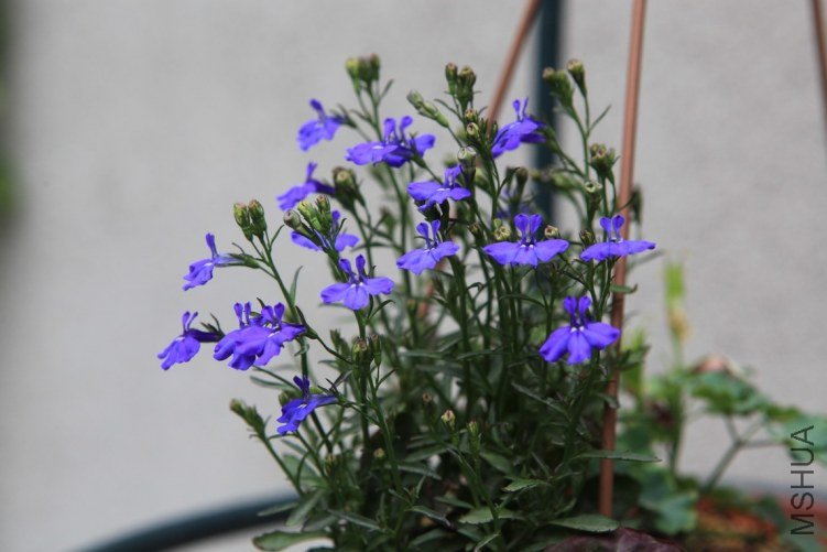 ���ϻ��� 023.jpg