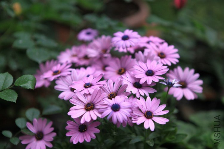 ���ϻ��� 027.jpg