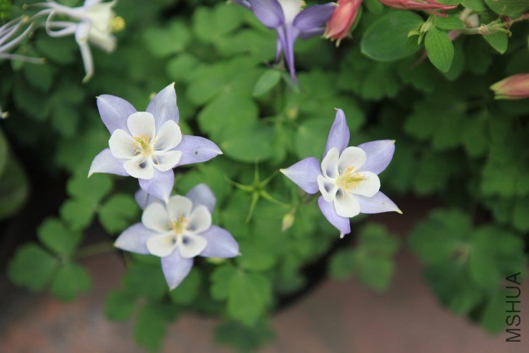 ���ϻ��� 030.jpg