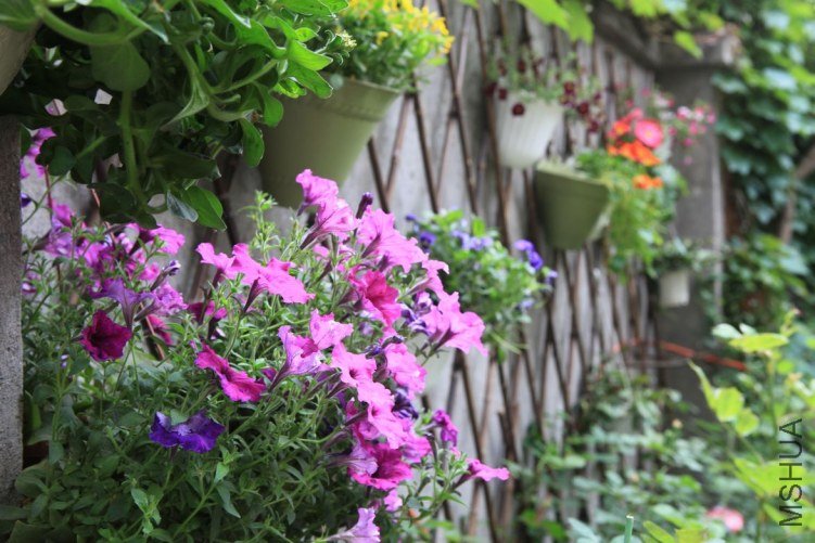 ���ϻ��� 022.jpg