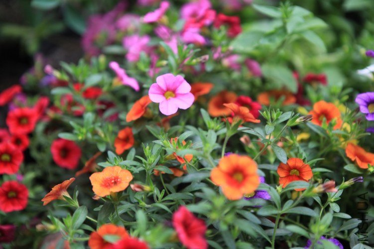 ���ϻ��� 028.jpg