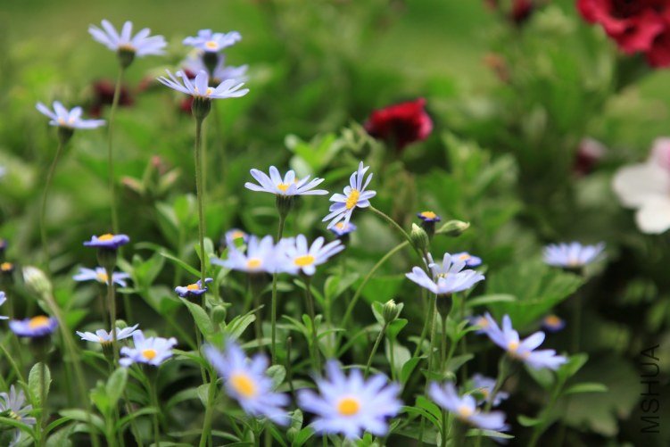 ���ϻ��� 032.jpg