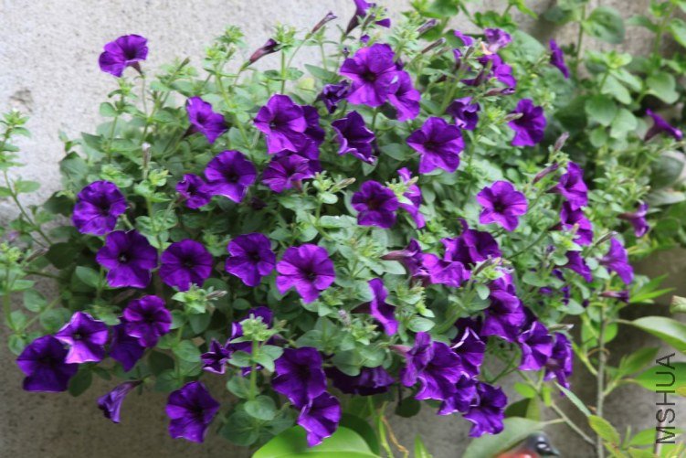 ���ϻ��� 007.jpg