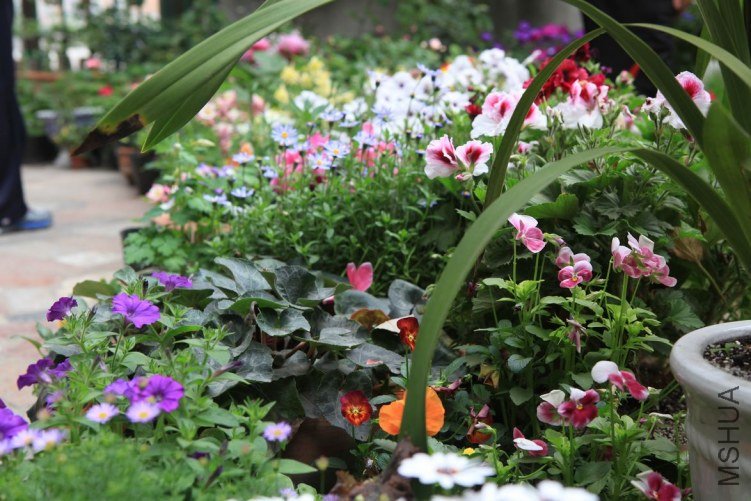 ���ϻ��� 015.jpg