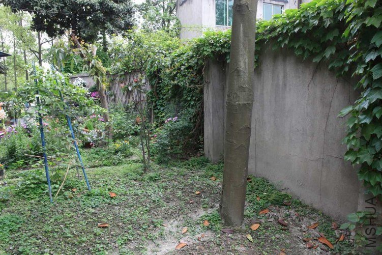 ���ϻ��� 036.jpg