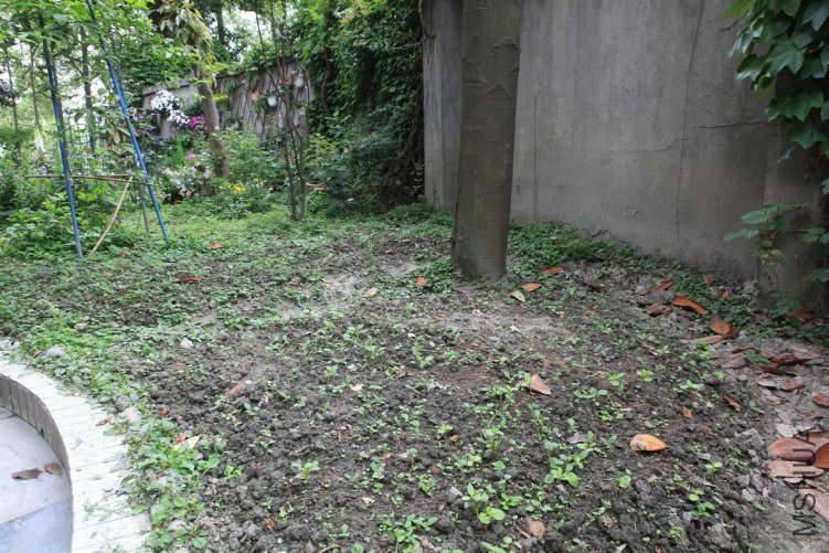 ���ϻ��� 037.jpg