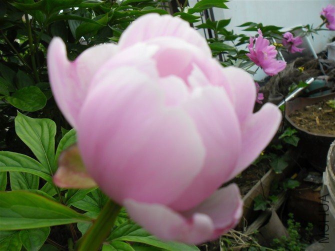27��һ��һ�����
