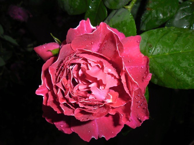 5��һ�����������