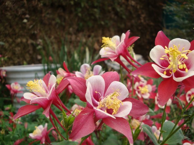 DSC00008.JPG