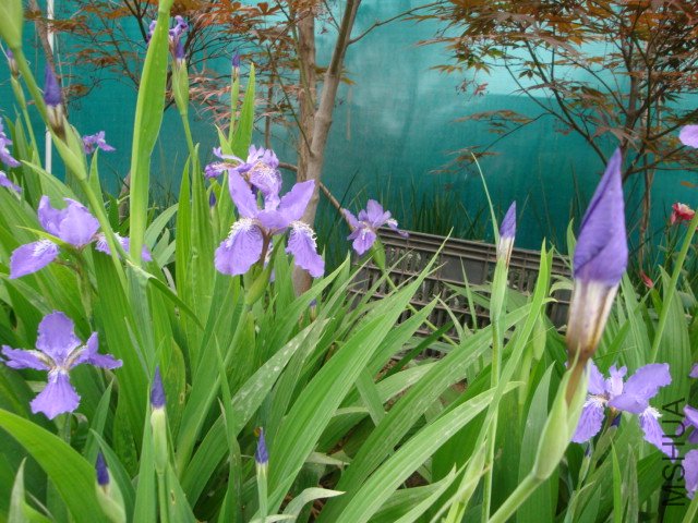 DSC00014.JPG