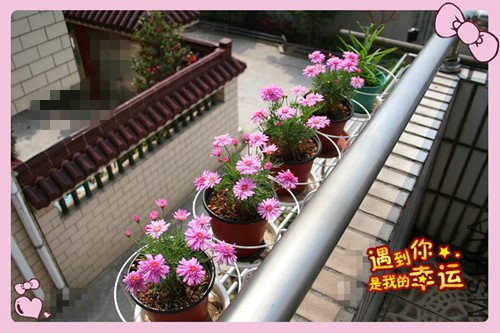 ��Ƭ 170_������.jpg