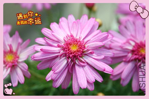 ��Ƭ 185_������4.jpg