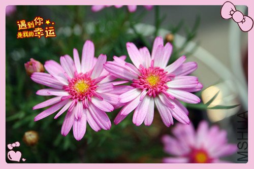 ��Ƭ 186_������5.jpg