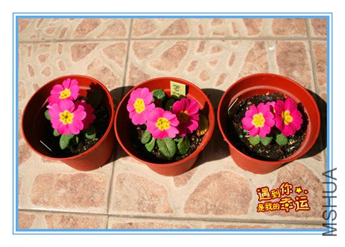 ��Ƭ 076_�����۱�1.jpg