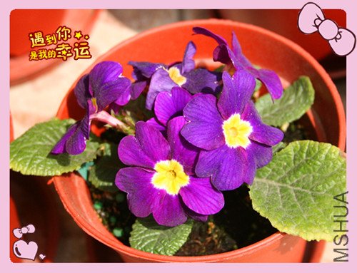 ��Ƭ 179_����ŷ2.jpg