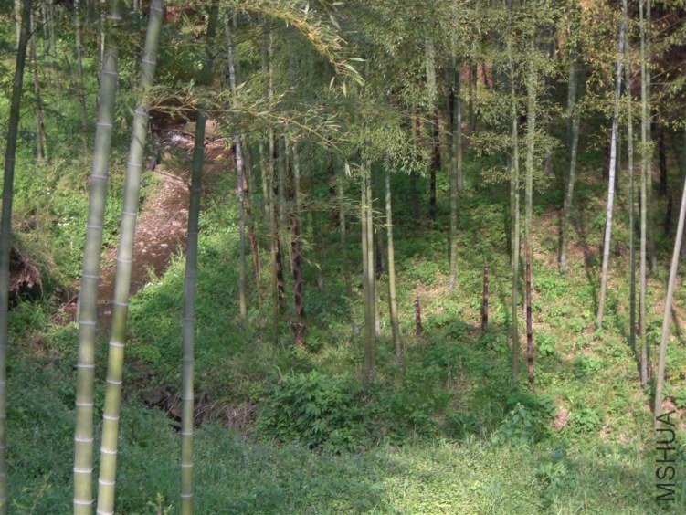 25.jpg
