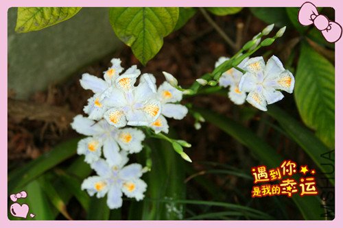 ��Ƭ 225_������1.jpg