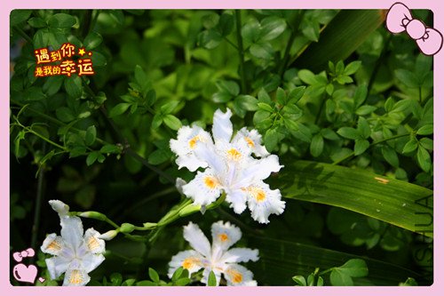 ��Ƭ 228_������2.jpg