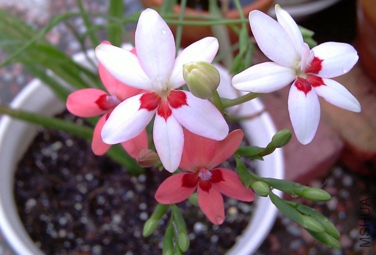 QQ��ͼ20120425201645.jpg