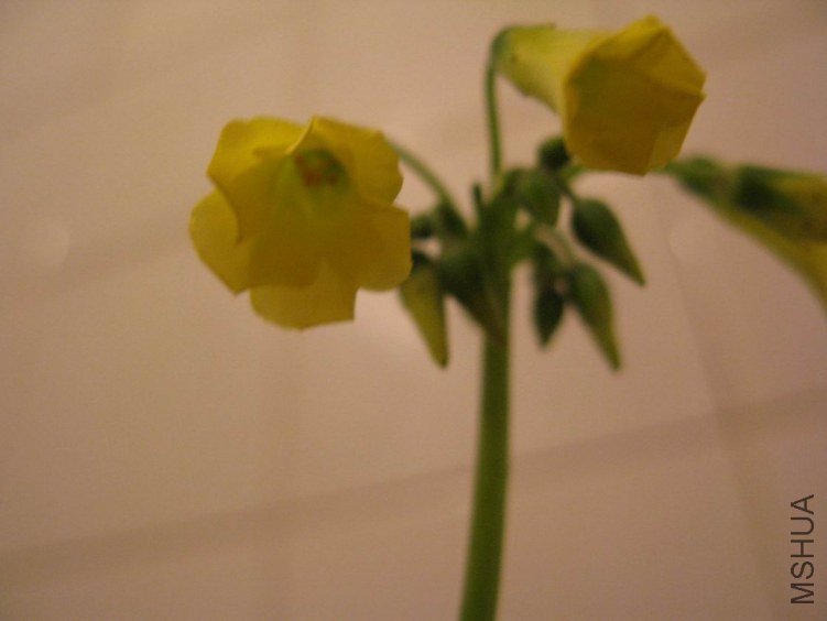 ������С ��Ƭ 346.jpg