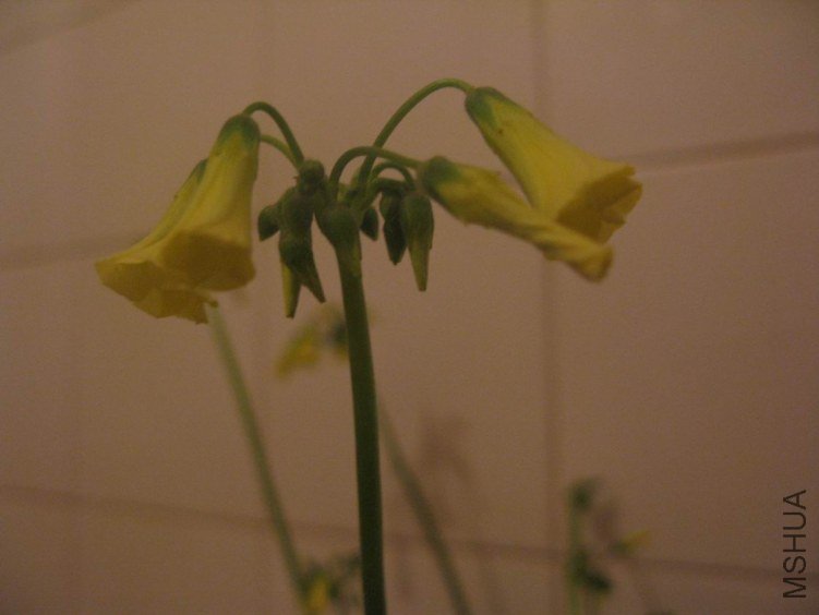 ������С ��Ƭ 345.jpg