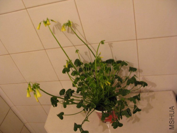 ������С ��Ƭ 353.jpg