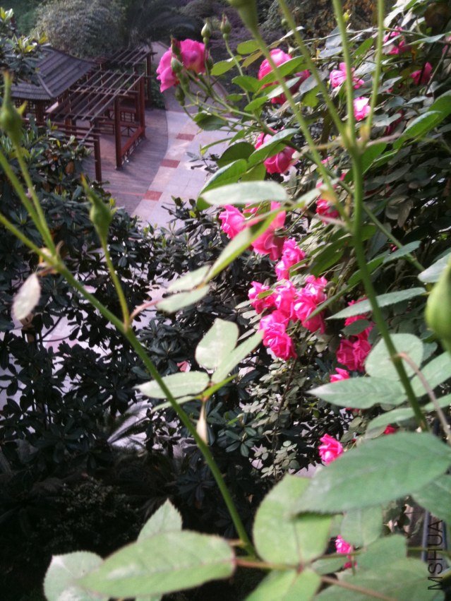 IMG_0792.jpg