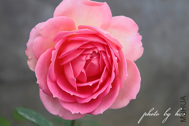 IMG_6017.JPG