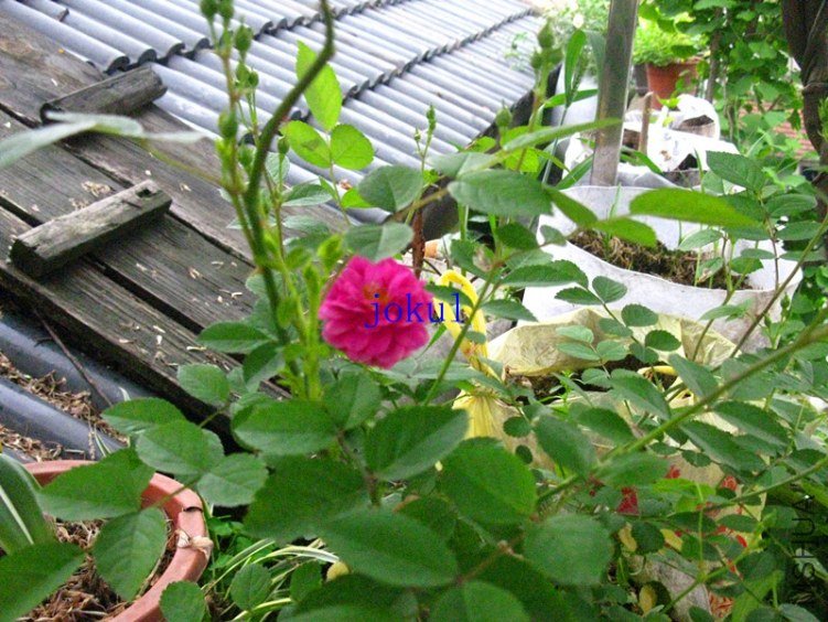 ��Ƭ 091_����.jpg