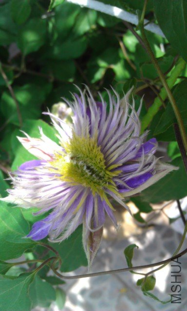 IMAG0224.jpg