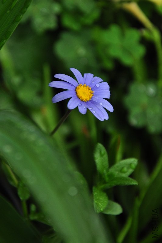 DSC_3802.jpg