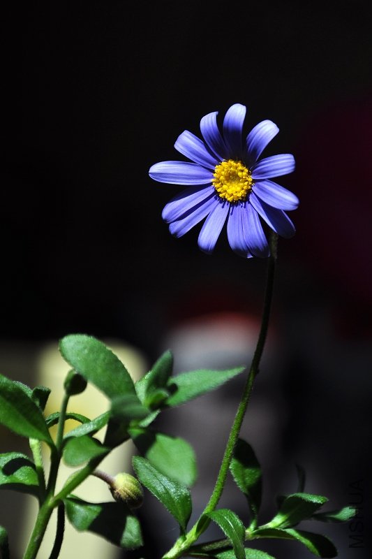 DSC_3875.jpg