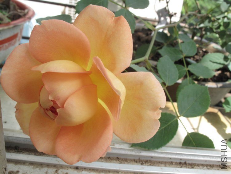 2012-4-26 120.jpg