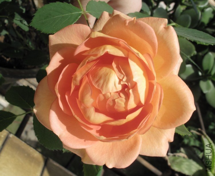 2012-4-26 122.jpg