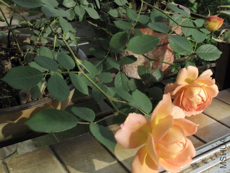 2012-4-26 128.jpg