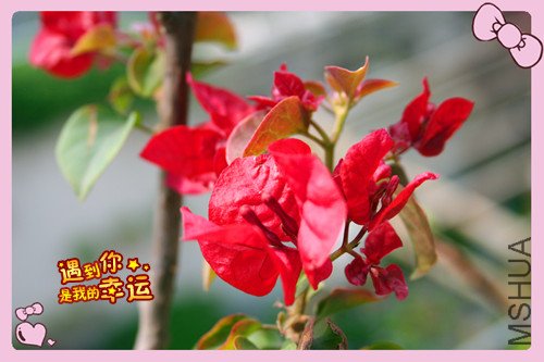 ��Ƭ 174_������1.jpg