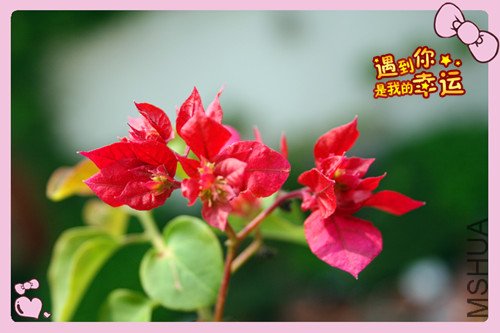 ��Ƭ 175_������2.jpg