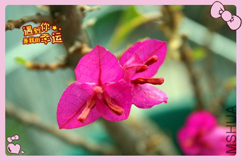 ��Ƭ 176_������3.jpg