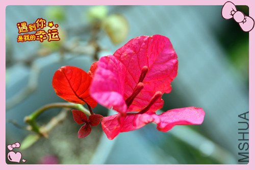 ��Ƭ 177_������4.jpg