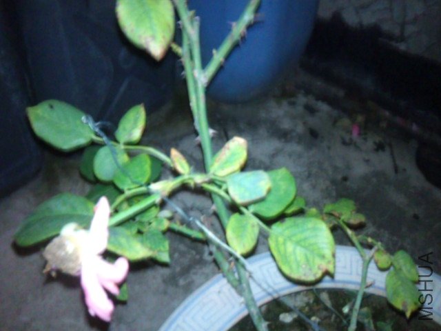 DSC01062.JPG