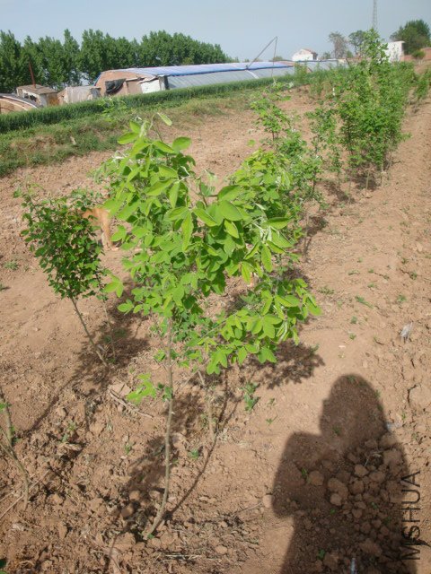 DSC00122.JPG