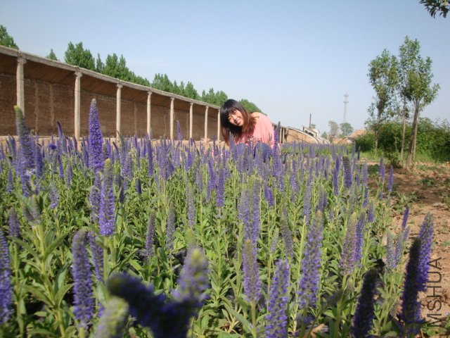DSC00175.JPG
