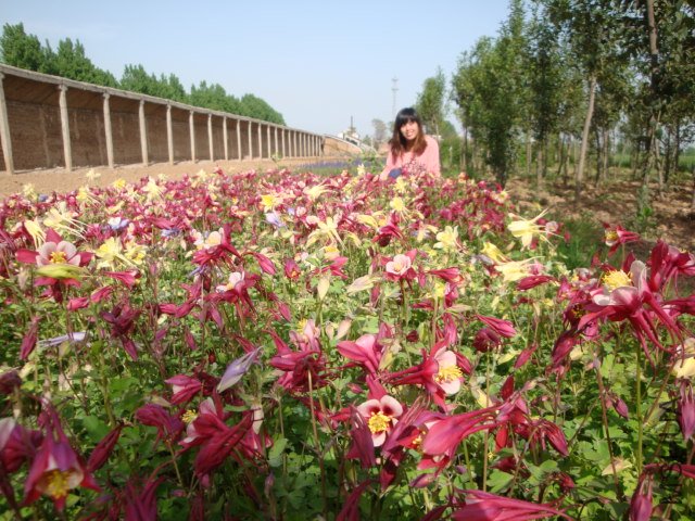 DSC00177.JPG