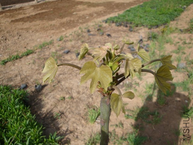 DSC00191.JPG